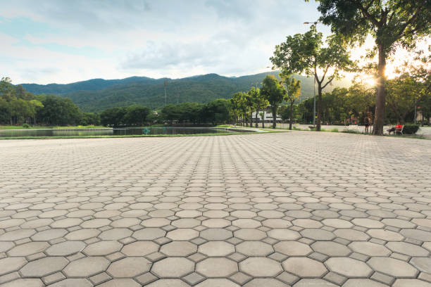 Best Local Driveway Pavers  in Lincoln Rk, PA